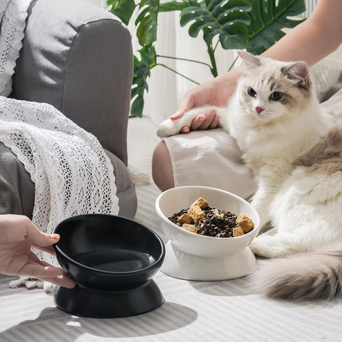 Elevated Tilted Cat Bowl - Ceramic Raised Food Dish for Cats and Small Dogs, 6 Inches, 10 Oz, Anti Vomit, White