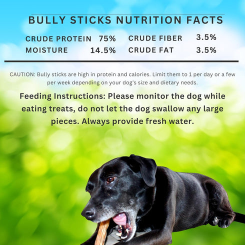 1 (6) (16 oz) 100% (6 inch, 1 lb) Regular Pound of Bully Sticks for Medium, Small Dogs & Puppies, for Sensitive