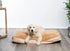 Modern Threads Luxury Dog Bed, Orthopedic Memory Foam Pillow Bed for Small to Large Dogs, Machine Washable, Linen Beige