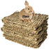 Hamiledyi Bunny Grass Mat Natural Woven Hamster Grass Bed Nest 22 PCS