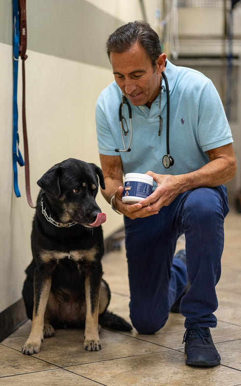 Dr. Jeff Werber Body Boost Multivitamin for Dogs - Heart Shaped Soft Chews with Omega Fatty Acids, 60 ct.