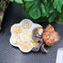 Neeenn 3 Pack Hermit Crab Food Bowl & Water Dish, Ceramic Hermit Crab Feeder Kit, Suitable for Hermit Crab Tarantula