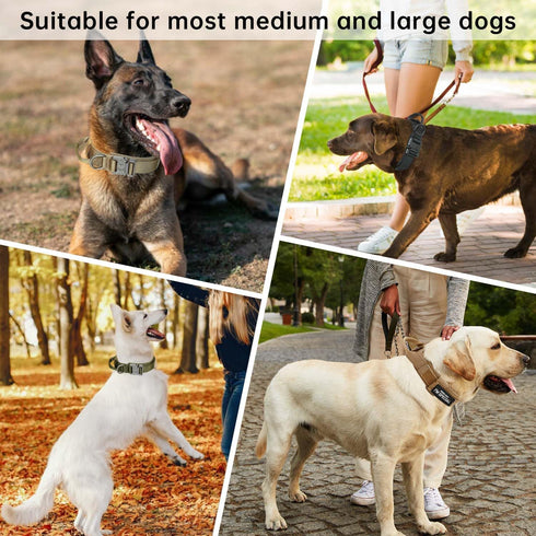Tactical Dog Collar with Handle, Adjustable Nylon Training Collar with Heavy Duty Metal Buckle for Medium Large Dogs