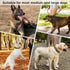 Tactical Dog Collar with Handle, Adjustable Nylon Training Collar with Heavy Duty Metal Buckle for Medium Large Dogs