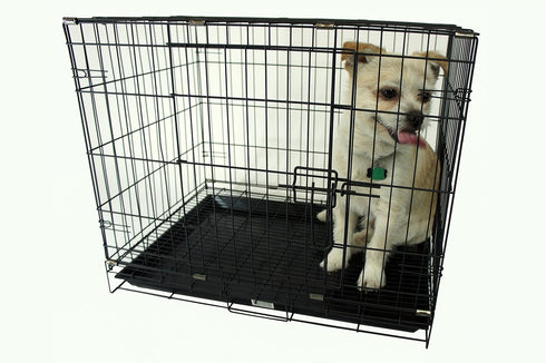 YML 24-Inch Foldable Light Duty Door Dog Crate, Black with Wire Bottom Grate and Plastic Tray