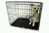 YML 24-Inch Foldable Light Duty Door Dog Crate, Black with Wire Bottom Grate and Plastic Tray