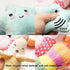 9 Pack Small Dogs Puppy Squeaky Dog Toys, Cute Variety Colors for Small Dogs to Bite Anytime