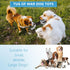 Plush Dog Squeak Toys with Crinkle Paper, Interactive Tug of War Toy, Great for Dental Health, Small, Medium, Large Dogs
