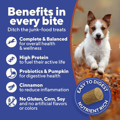Dave's Pet Food Digesti-Bites Freeze Dried Beef and Beef Liver Dog Treats with Pumpkin Fiber & Probiotics