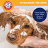 Hammer Set, 8FL OZ 8FL OZ, Arm & Odor Control Pet Deodorizing Holiday Edition: Includes Dog Shampoo, + Bath Spray
