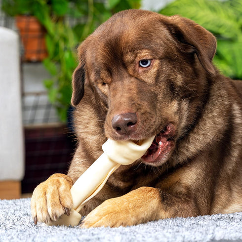 Pet Factory 100% Made in USA Beefhide 9-10" Knotted Bone Dog Chew, Natural Flavor