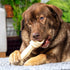 Pet Factory 100% Made in USA Beefhide 9-10" Knotted Bone Dog Chew, Natural Flavor