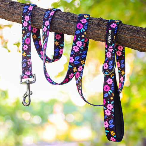 KISSBAK Dog Leash for Medium Dogs, Comfortable Padded Handles, Floral Sunflower Training Lead (3/4 Inch x 5 Feet)
