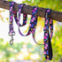 KISSBAK Dog Leash for Medium Dogs, Comfortable Padded Handles, Floral Sunflower Training Lead (3/4 Inch x 5 Feet)