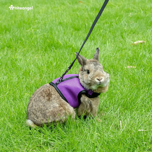 Niteangel Adjustable Soft Harness with Elastic Leash - For Rabbits (M, Black)