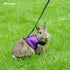 Niteangel Adjustable Soft Harness with Elastic Leash - For Rabbits (M, Black)