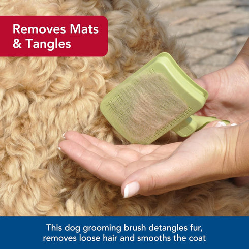 8" 4.5" Coastal Pet Safari Dog Self-Cleaning Slicker Brush - Dog Deshedding Brush - Prevents Mats and Tangled Hair