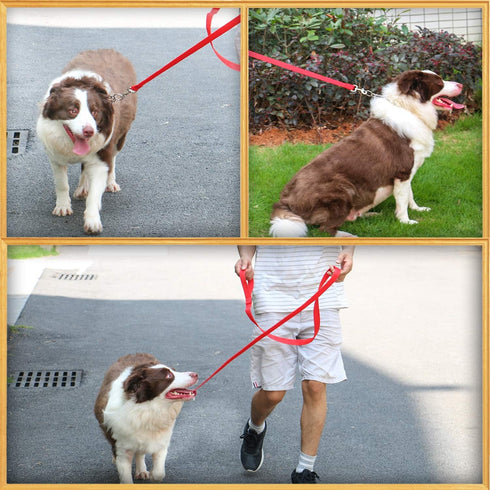 AMAGOOD 6 FT Puppy/Dog Leash, Strong and Durable with Easy to Use Collar Hook (Red, Pack of 1)