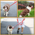 AMAGOOD 6 FT Puppy/Dog Leash, Strong and Durable with Easy to Use Collar Hook (Red, Pack of 1)