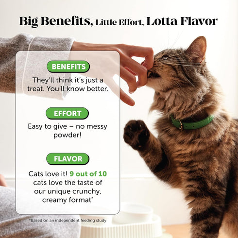 Immune Immunity, 30-Day Cat Probiotics Gut + Health Chews Crunchy & Creamy Cat Treats for Digestive Health, Gut Flora