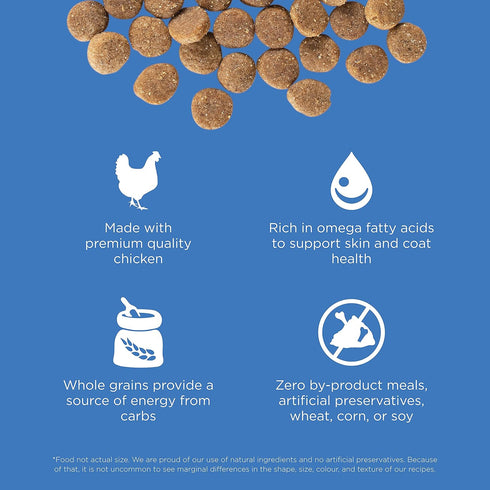 Go! Solutions Skin + Coat Care Dry Dog Food, 12 lb, Chicken Recipe with Grains for All Life Stages