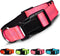 BLAZIN 'Color Me Happy!' Reflective Dog Collar - Adjustable Soft Neoprene Padded Collar in 4 Colors for Daily Use