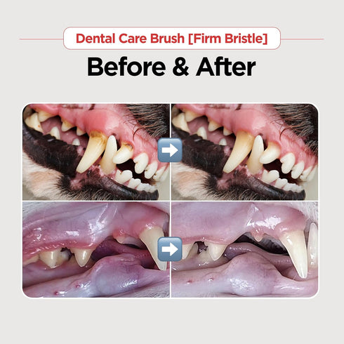 Dental Care Brush (Firm Bristles) - Resilient Toothbrush for Dog Tartar & Plaque Removal, Horizontal Head and S-curved Body