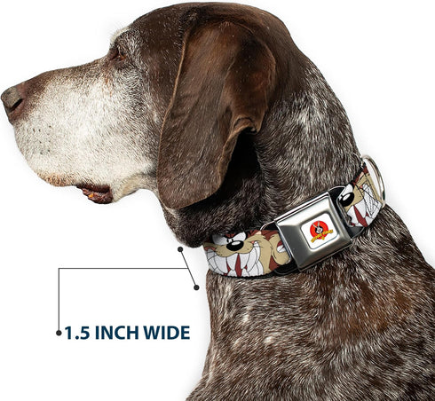 Dog Collar Seatbelt Buckle, Tasmanian Devil Expressions, Brown, 18 to 32 Inches, 1.5 Inch Wide