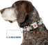 Dog Collar Seatbelt Buckle, Tasmanian Devil Expressions, Brown, 18 to 32 Inches, 1.5 Inch Wide