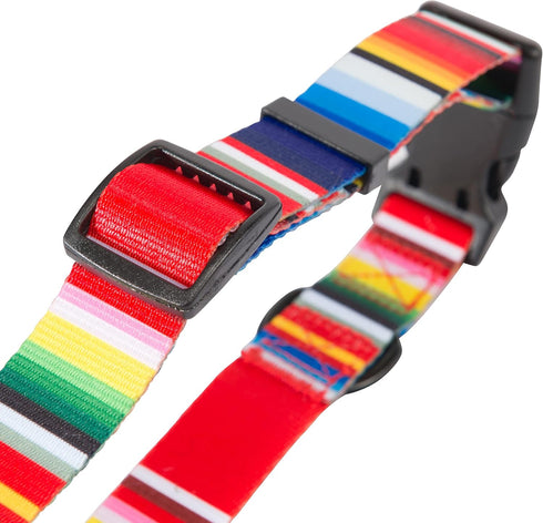 Hooey Nomad Dog Collar, Durable Polyester Webbing Collar with Graphic-Inspired Prints, Serape Tijana, Medium