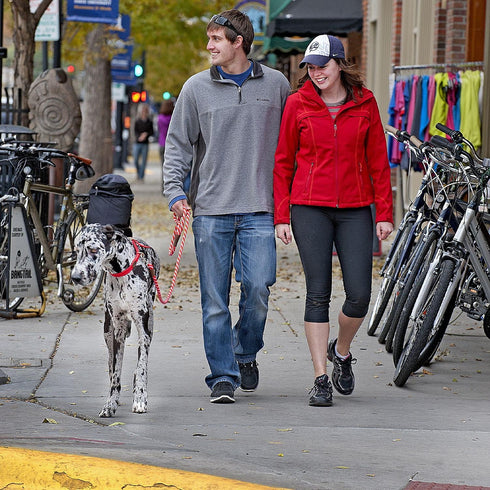 Mendota Pet Snap Leash - Made in The USA, Lilac, 3/8 in x 6 ft