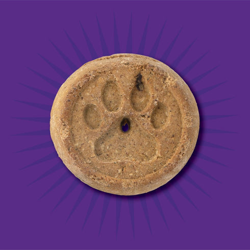 Evolve Grain Free Dog Biscuits, Real Peanut Butter and Molasses
