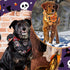 100 Paterr Pieces Dog Bandanas Bulk Halloween Pet Handkerchief Soft Dog Triangle Bibs Cute Kerchief Adjustable Washable