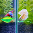 WILLBOND 2 Pieces Silicone Betta Bed Leaf Hammock, Comfortable Resting Spot for Betta Fish (Green)
