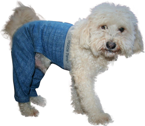 Best Dog Walking Pants for XL Extra-Large Dogs
