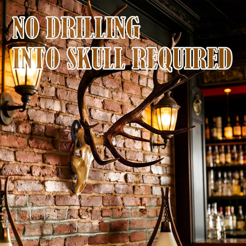 (1PCS) European Mount Skull Hanger, Skull Mount Hanger for Deer, Heavy Duty Euro Skull Mount for Hanging Deer Mule