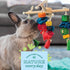 Oxbow Enriched Life Spin 'N Chew, Natural Wood Chew Toy for Rabbits, Guinea Pigs, and Hamsters, Promotes Dental Health