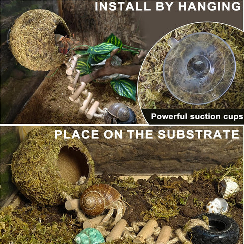Hermit Crab Moss Coconut Shell Hideout with Climb Ladder,Leopard Gecko Hide Hut with Moss and Sea Shells,Hermit Crab