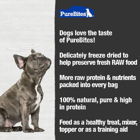 PureBites Cheese Freeze Dried Dog Treats, 1 Ingredient, Made in USA, 4.2 oz