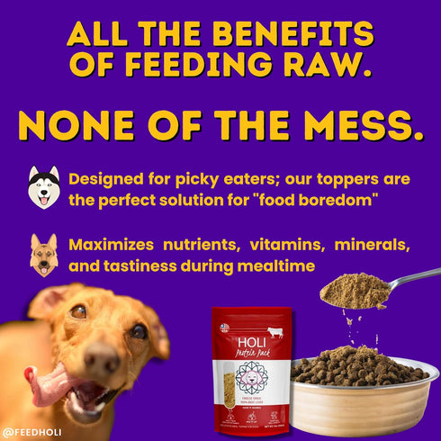 HOLI Freeze Dried Chicken Dog Food Topper - 100% All Natural, Human-Grade Lean Chicken Breast