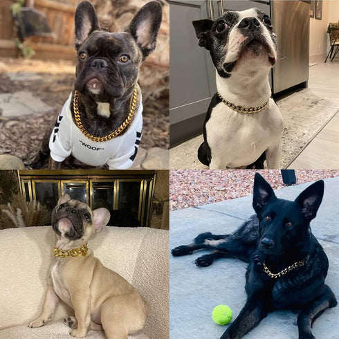 Stainless Steel Gold Dog Collars with Safety Buckle Lock, 18K Cuban Link Chain for Small Medium Large Dogs