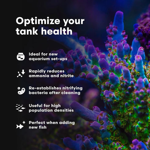 Brightwell Aquatics MicroBacter Start XLM, Concentrated Freshwater Nitrifying Bacteria, Aquarium Water Treatments