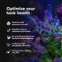 Brightwell Aquatics MicroBacter Start XLM, Concentrated Freshwater Nitrifying Bacteria, Aquarium Water Treatments