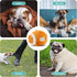 SPOT 4.5" Plush Football Dog Toy with Squeaker | Soft, Plush Fabric Football Squeak Toy for Small and Large Dog Breeds