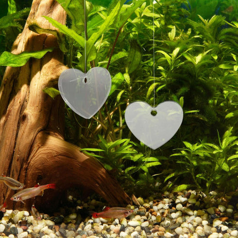 balacoo 4pcs Betta Training Mirror Aquarium Supplies Betta Tank Decoration Betta Fish Exercise Mirror Fish Tank Betta Toy Betta Tank Mirror Betta Fish Tank Mirror Betta Tank Decorations by balacoo
