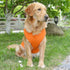 Lovelonglong 2019 Summer Pet Clothing, Dog Blank T-Shirts, Ribbed Tanks for Large Medium Small Dogs (100% Cotton,