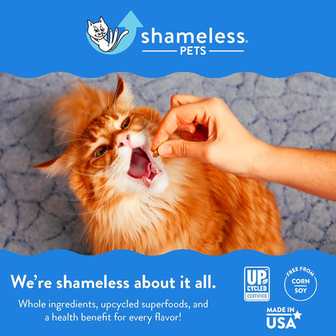 Shameless Pets Crunchy Cat Treats - Catnip Treats with Real Chicken, Digestive Support, 3-Pk
