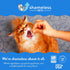 Shameless Pets Crunchy Cat Treats - Catnip Treats with Real Chicken, Digestive Support, 3-Pk
