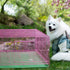 POPETPOP Small Replacement Pan for Puppy Crate | Plastic Dog Cage Tray for Pet Cages, Crates, Kennels, Green