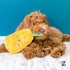ZippyPaws NomNomz - Dog Squeaky Toys to Keep Them Busy, Funny Food Plush for Small & Medium Dogs, Cute Stuffed Puppy